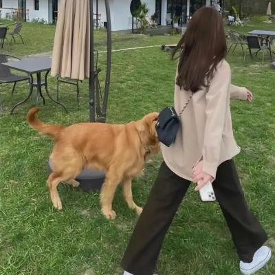 了不起的大盗奶奶