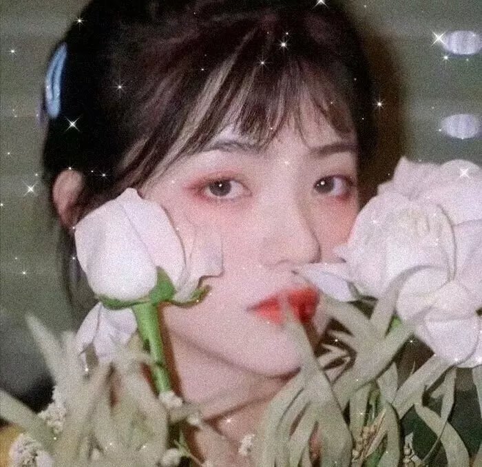 仇恨不息